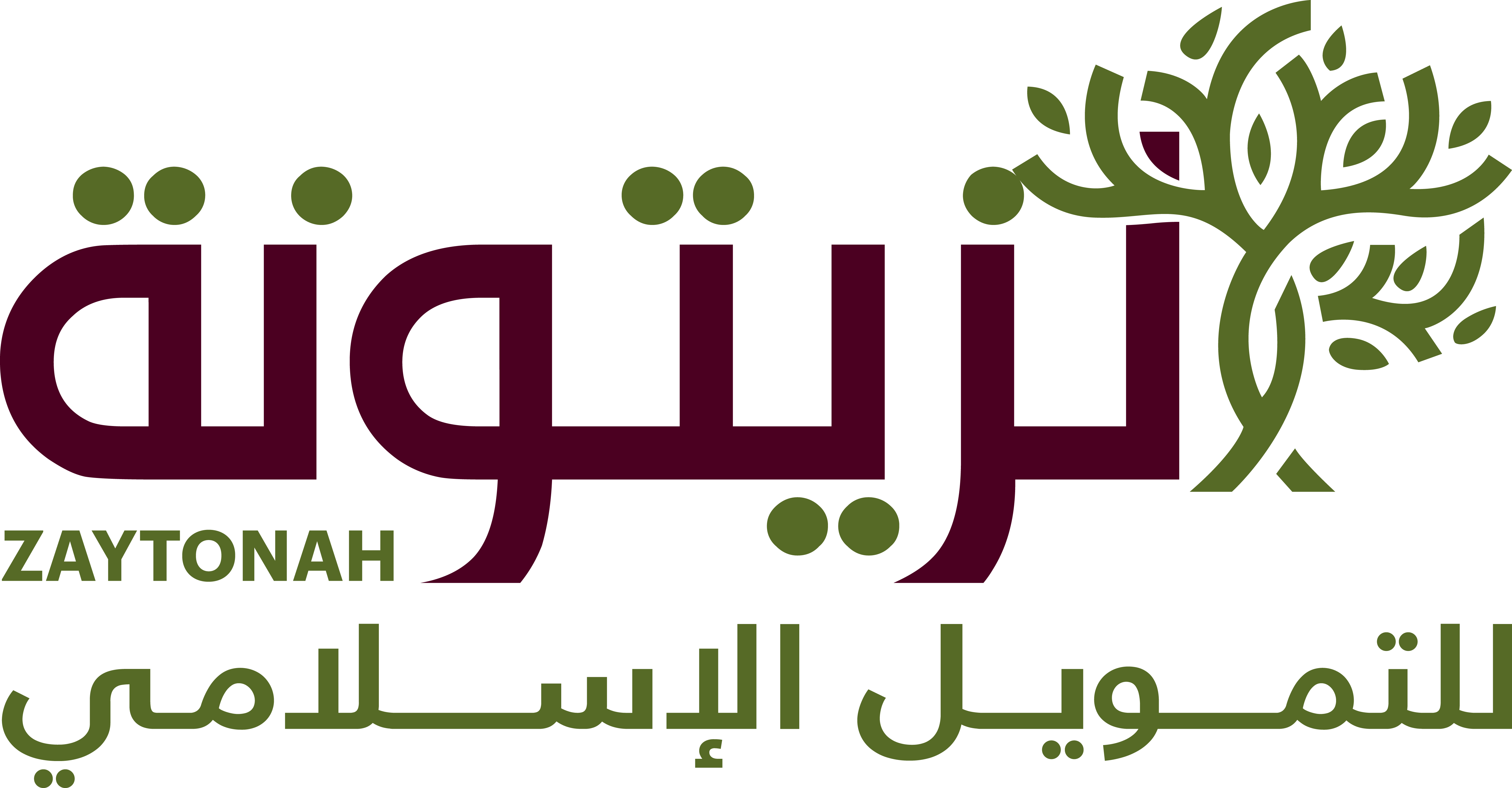 ضابط تمويل ميداني